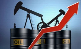 Produsele petroliere au ajuns în topul exporturilor moldovenești 
