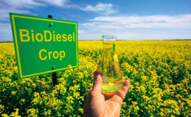 Donație de biocombustibil solid aprobată de CSE pentru instituțiile publice