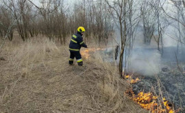 За последние сутки потушено 12 очагов возгорания сухой растительности