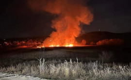 Incendiu de proporții la un iaz din Ialoveni