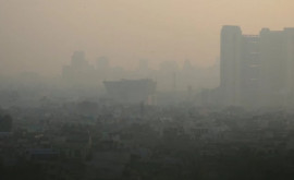 Тысячи человек госпитализированы в Таиланде изза загрязненного воздуха