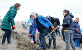 Майя Санду посадила деревья вместе с командой Корпуса мира в Молдове