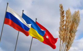 Россия продлила зерновую сделку с Украиной Турцией и ООН