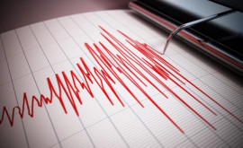 За последние дни в Новой Зеландии произошло около 1000 землетрясений