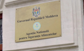 Агентство по безопасности пищевых продуктов о запрете украинцами мяса и яиц из Молдовы