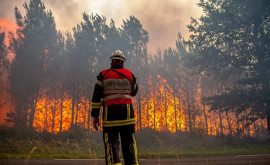 Ранние лесные пожары в Испании