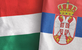 Сербия и Венгрия создадут Стратегический совет по вопросам безопасности