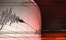 Cutremur în largul Japoniei Ce magnitudine a avut seismul