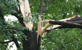 Власти оценивают ущерб причиненный сильным ветром