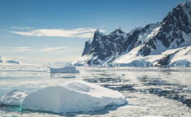 Ce consecințe ar putea avea topirea rapidă a gheții din Antarctica studiu