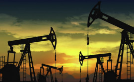 Мировые цены на нефть снова растут 