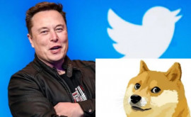 Илон Маск изменил логотип Twitter