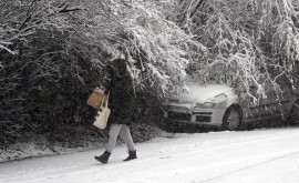 В Белграде выпало рекордное за 150 лет количество снега