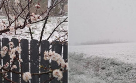 На севере Молдовы выпал снег