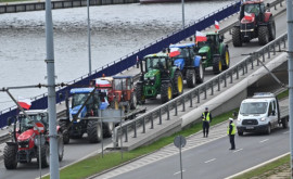 Министр сельского хозяйства Польши подал в отставку изза кризиса с украинским зерном