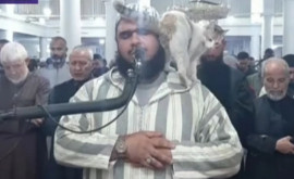 Caz neobișnuit întro moschee O pisică sa cățărat pe imam în timpul citirii rugăciunii