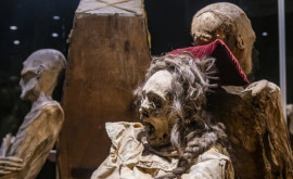 Mumiile dintro expoziție din Mexic un pericol pentru sănătatea publicului