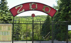 Primăria Grădina Zoologică din Chișinău va activa în zilele de luni
