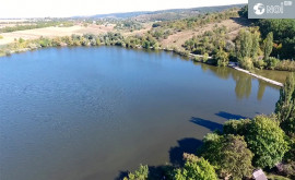 Legea apelor în Moldova va fi îmbunătățită Piscicultorii sînt bucuroși că au fost auziți