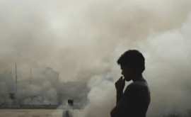 Новое исследование выявляет риски для здоровья связанные с загрязненным воздухом 