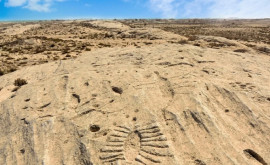 La ce erau folosite simbolurile misterioase descoperite în deșertul din Qatar