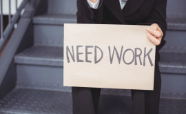 ANOFM îndeamnă angajatorii să declare locurile de muncă vacante
