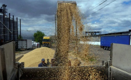 Венгрия вводит запрет на украинское зерно