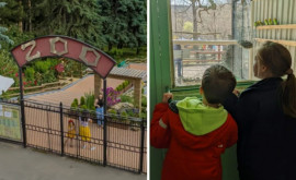  В кишиневском зоопарке проводятся развлекательные уроки