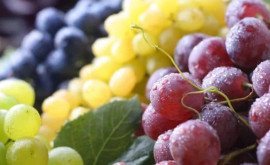 Ранний виноград на рынке Молдовы появится позже обычного срока