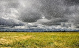 Фермеры обеспокоены обильными дождями в этом месяце