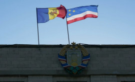 ЦИК аккредитовал еще 19 международных наблюдателей на выборах в Гагаузии