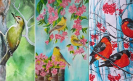 Конкурс для любителей живописи и желающих познакомиться с орнитофауной Молдовы