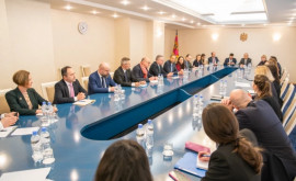 Șefa statului a discutat cu reprezentanți ai societății civile despre Adunarea Moldova Europeană