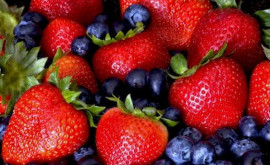 На что надеются молдавские производители ягод 