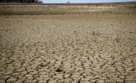Европе грозит засуха и дефицит воды