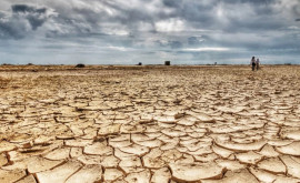 Европе грозит экстремальная засуха