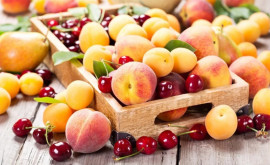 Care va fi recolta de fructe sîmburoase în Moldova în acest an
