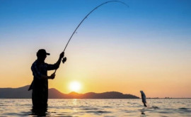 Pescari condamnați că au pus plumb în pește ca să atîrne mai mult la cîntar