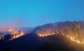 В Испании вспыхнули сильные пожары