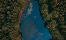 Jumătate din cele mai mari lacuri ale planetei au secat