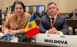 Молдова представлена на конференции посвященной укреплению безопасности с помощью зеленой экономики