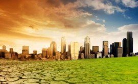 Cele mai populare mituri despre încălzirea globală desființate de oamenii de știință 