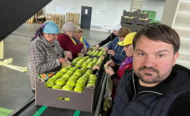 Молдавские яблоки поступят на прилавки магазинов в Швеции