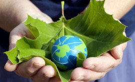 Всемирный день окружающей среды программа мероприятий в Молдове