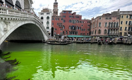 Вода в Венеции резко позеленела Что произошло