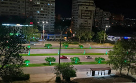 Деревья подсвеченные зелеными лампочками рядом с проезжей частью еще одно новшество Кишинева