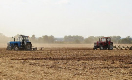 În Moldova ar putea apărea camere agricole propunerea Ministerului Agriculturii