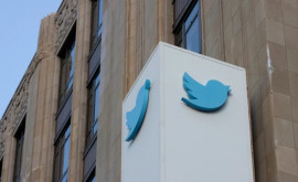 Маск подтверждает планы по переименованию Twitter Каким будет новое название