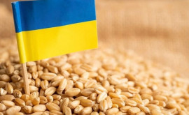 Comisia Europeană va prelungit restricțiile la importul produselor agricole din Ucraina 