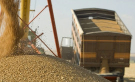 Statele vecine Ucrainei vor putea prelungi embargoul la importul de cereale